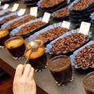 "lineup of various coffee beans"